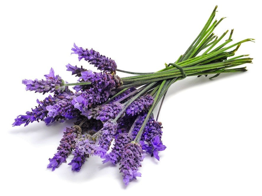 Argan Oil Solid Shampoo Loaf - Lavender & Rosemary