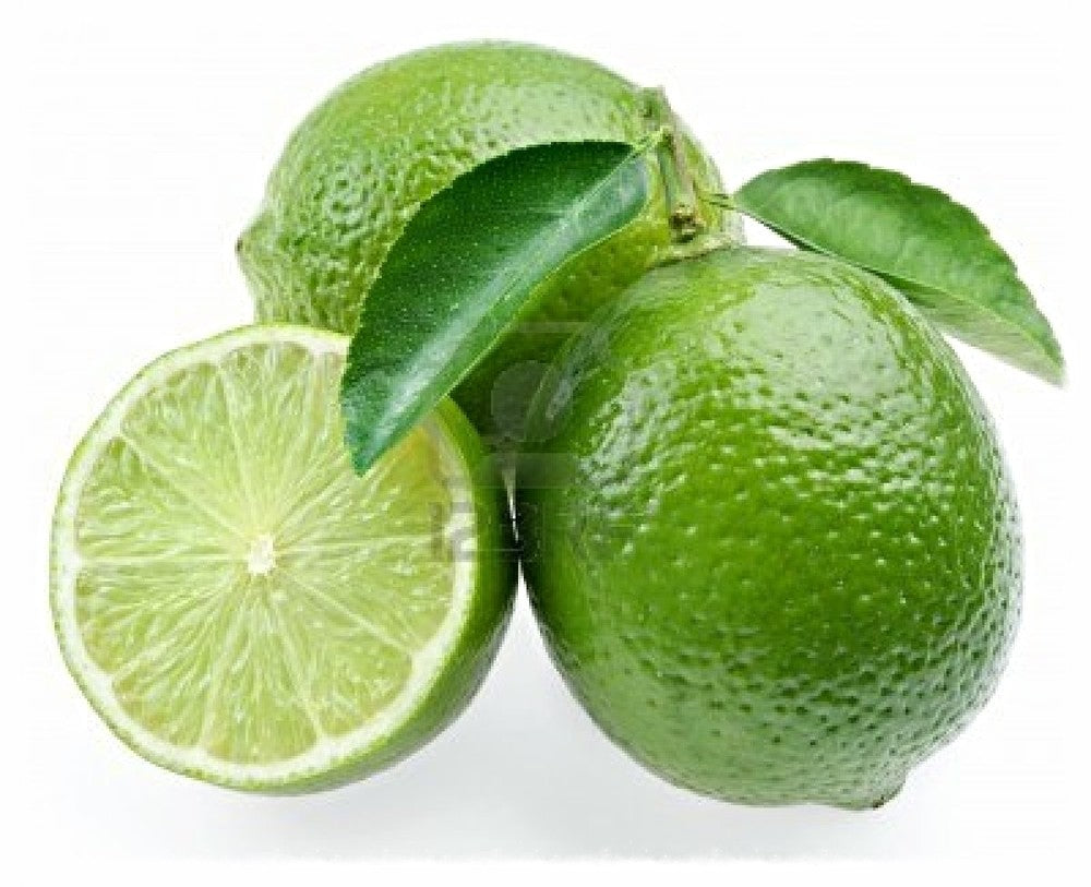 Argan Oil Solid Shampoo Loaf - Coconut & Lime