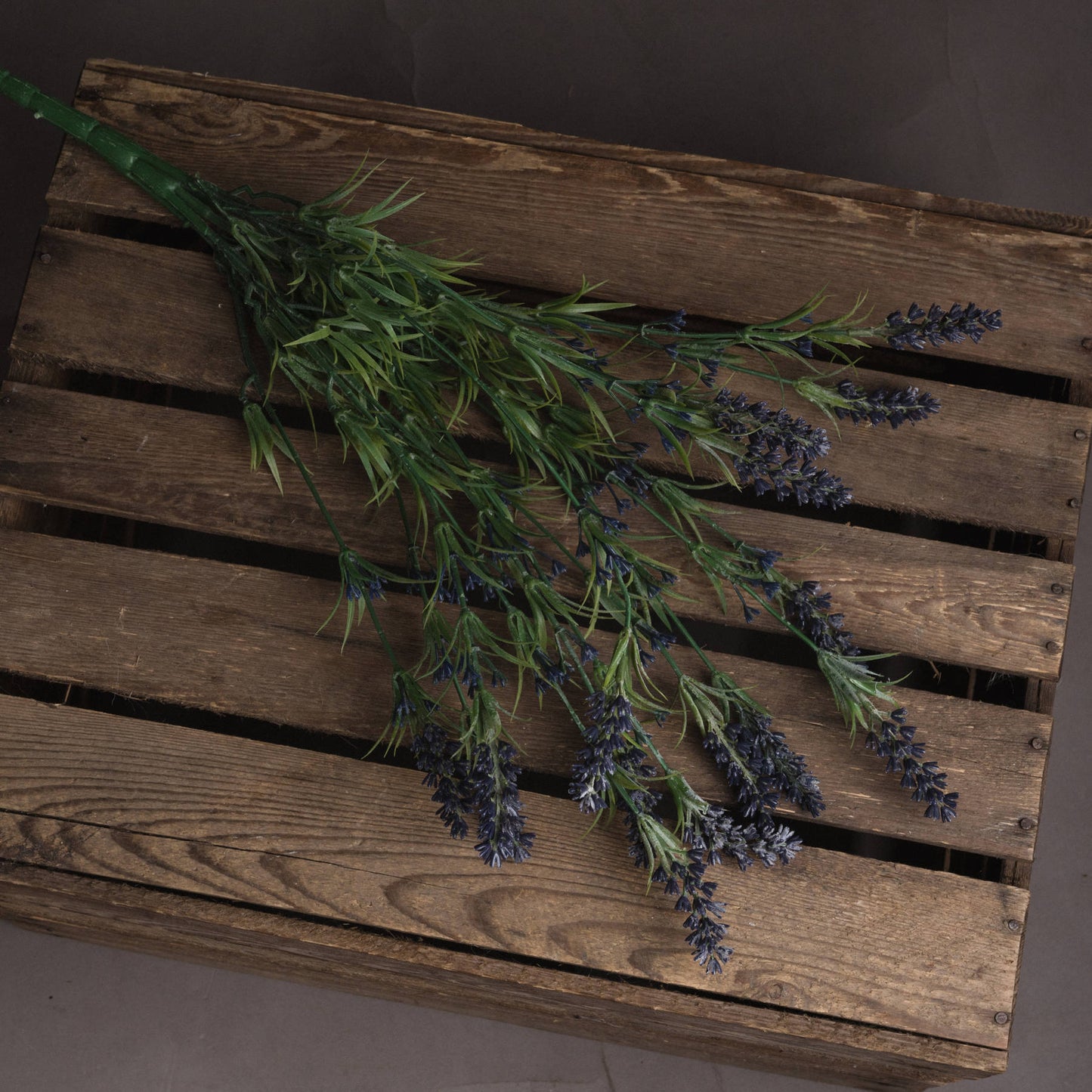 Lavender Bush - Large