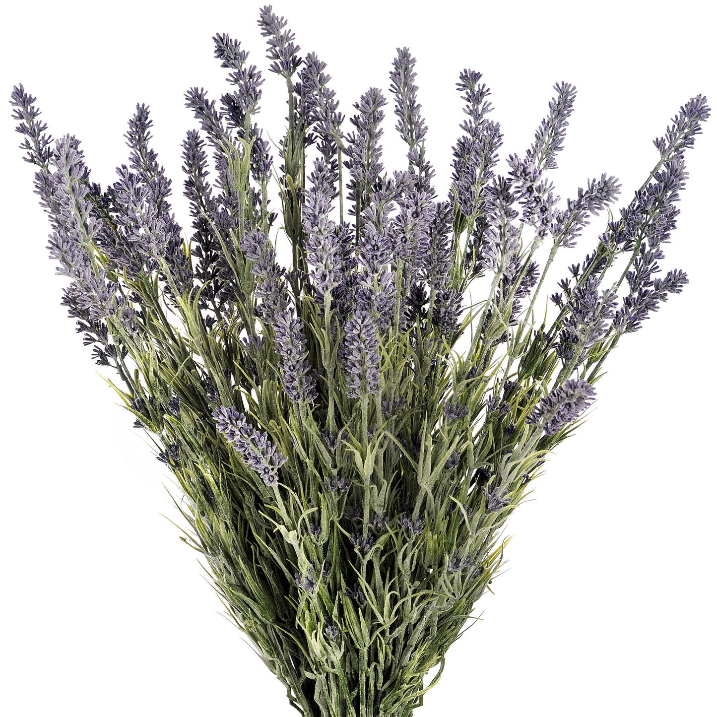 Lavender Bush - Large