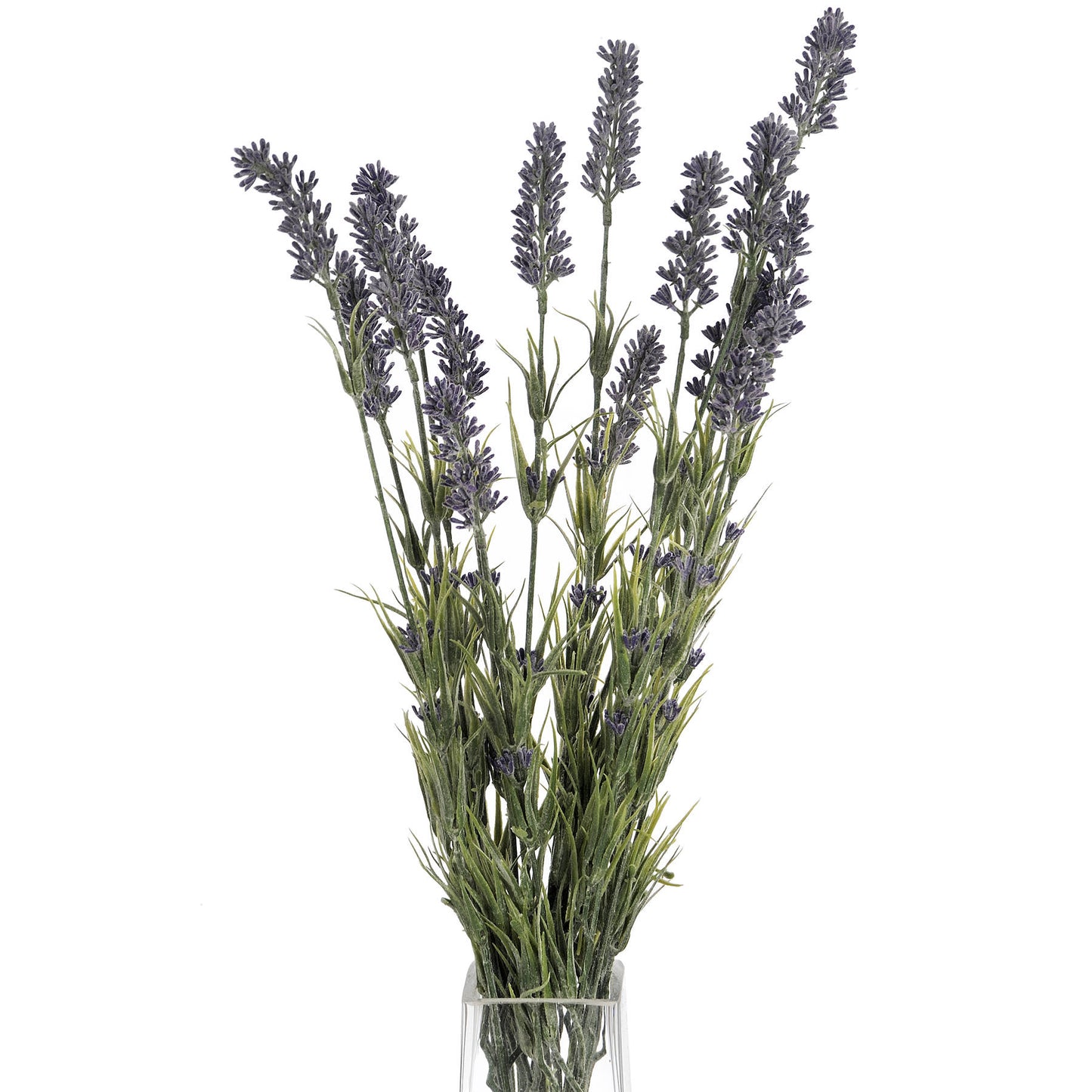 Lavender Bush - Large