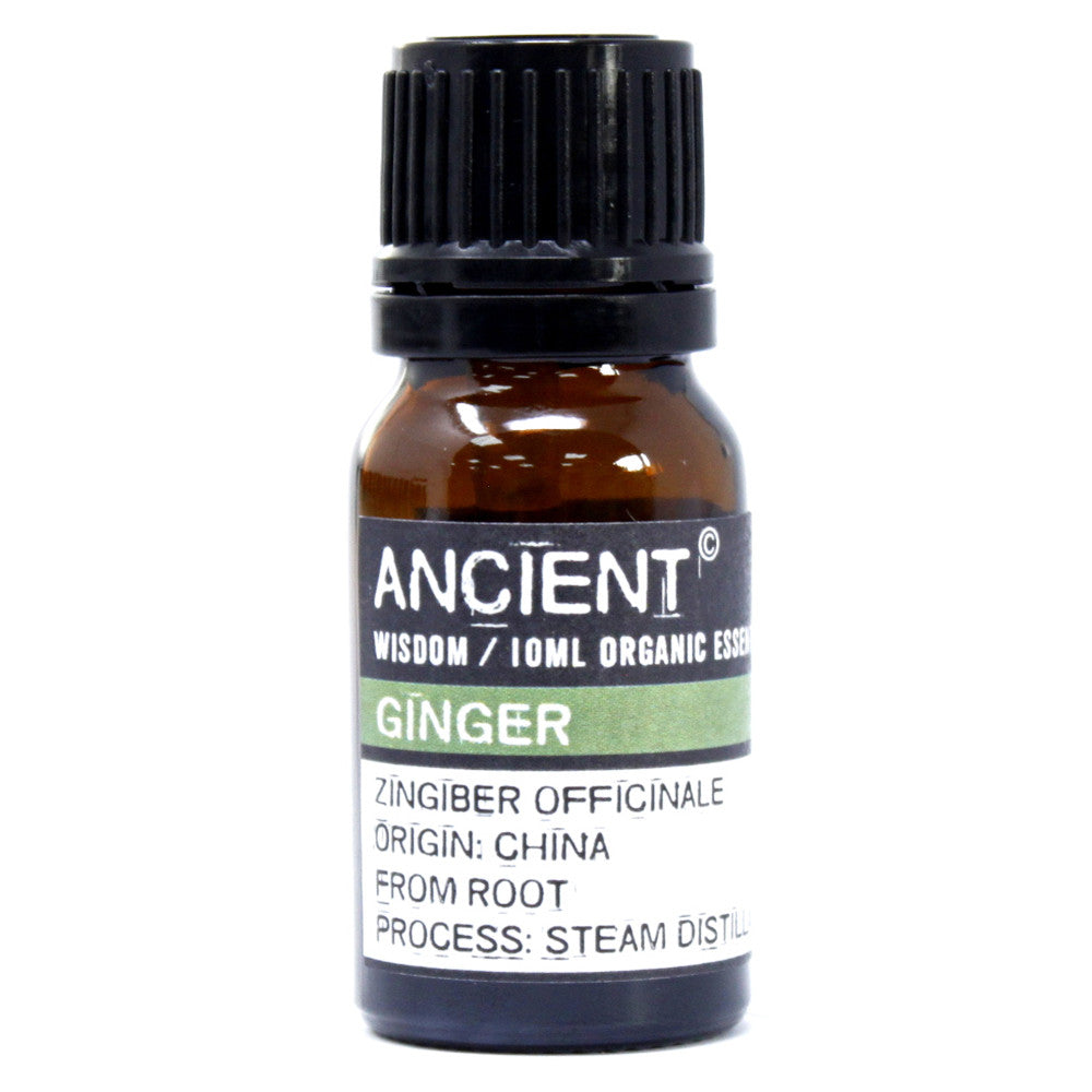 Organic Essential Oil - Ginger - 10 ml