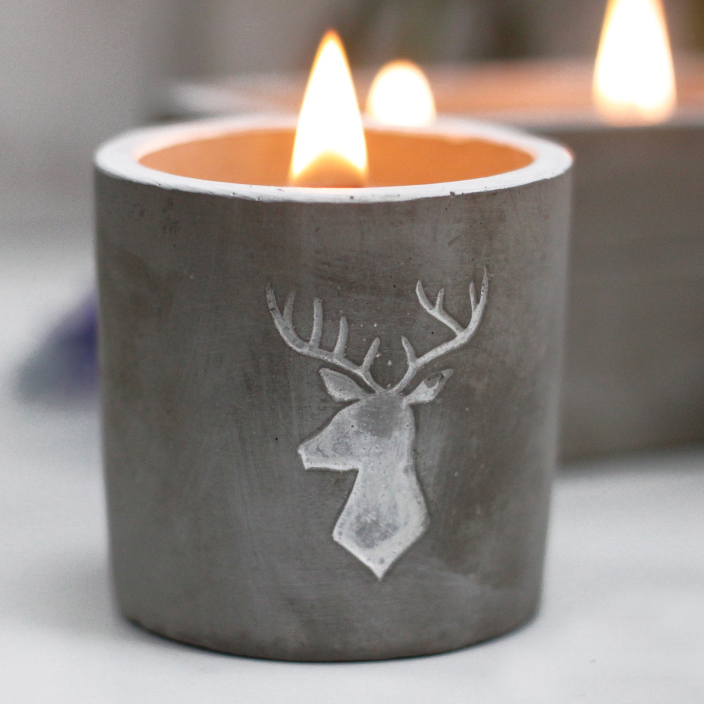Wooden Wick Concrete Pot Scented Candle - Whiskey & Woodsmoke - Stag Head - Medium