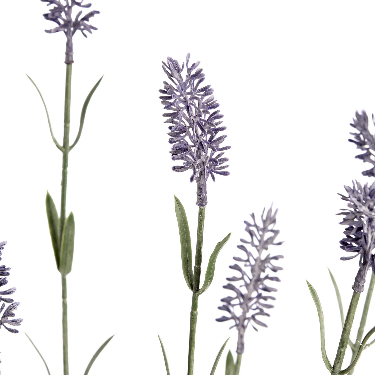 Lavender Spray - Large