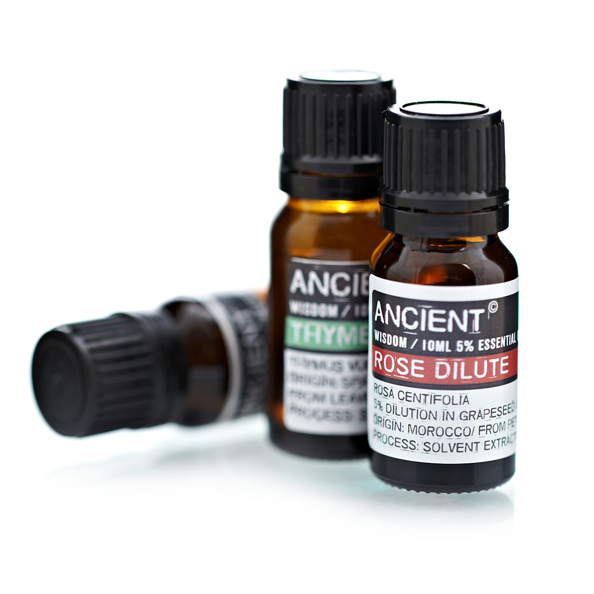 Rose Dilute Essential Oil - 10 ml