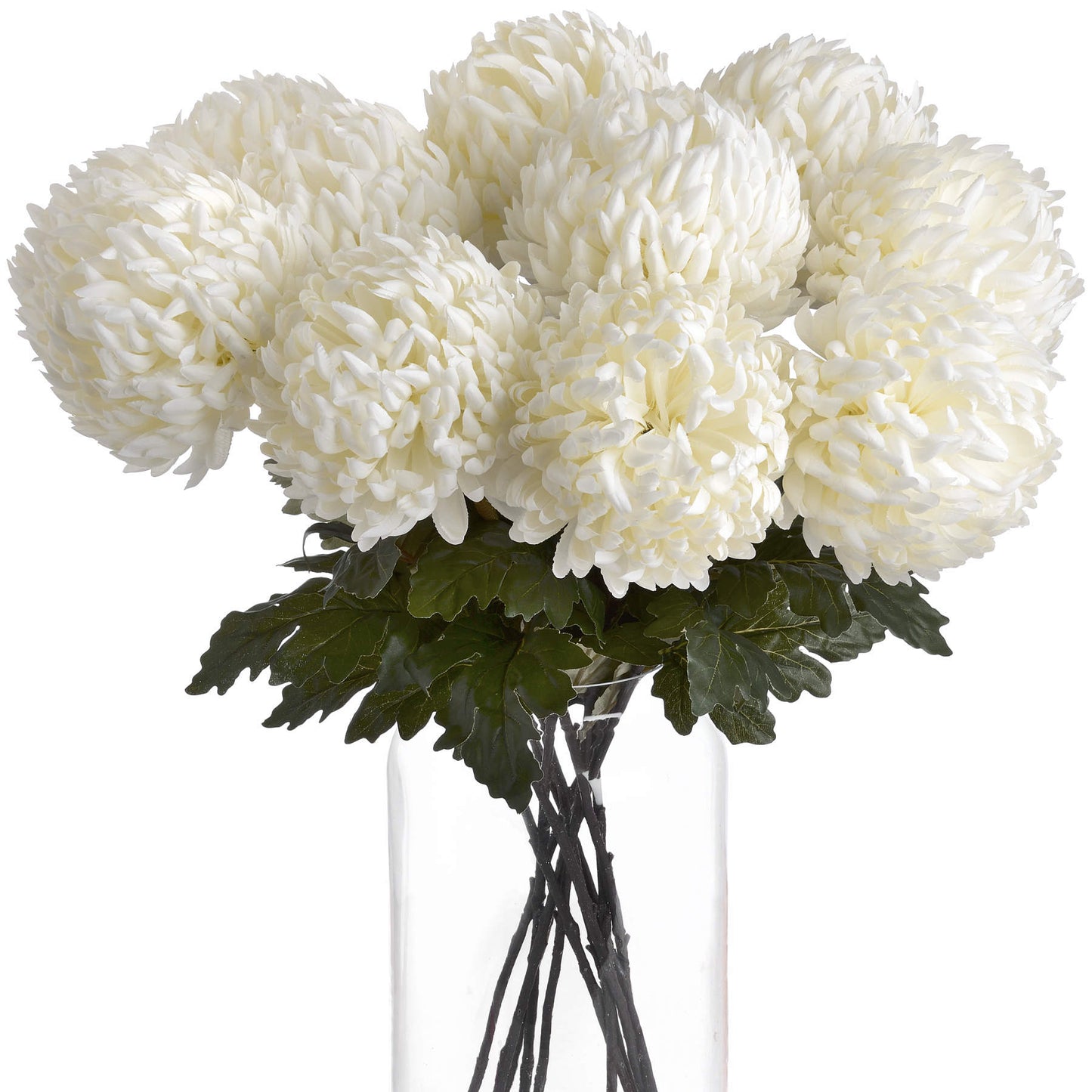 White Chrysanthemum - Large