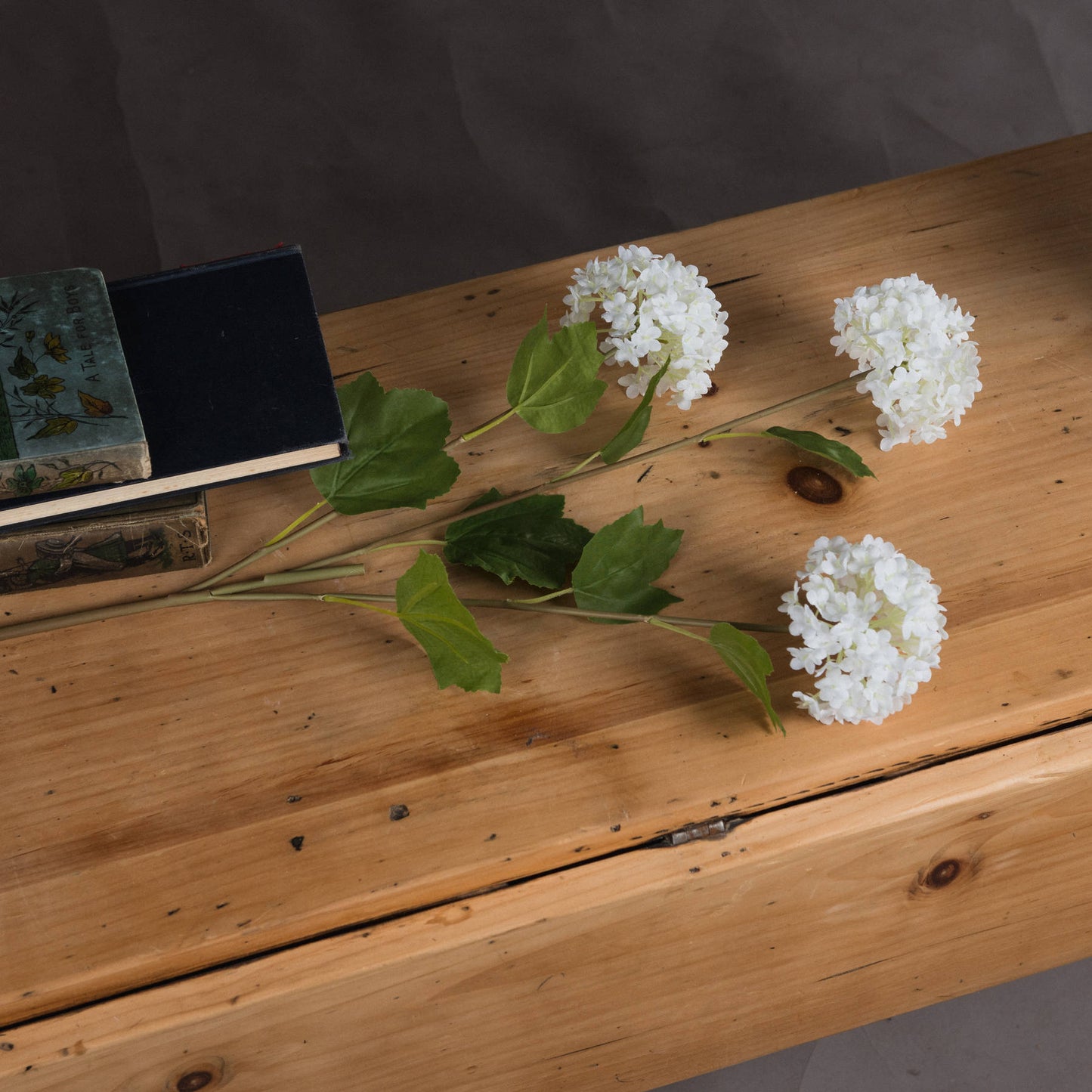 Viburnum Opulus Stem