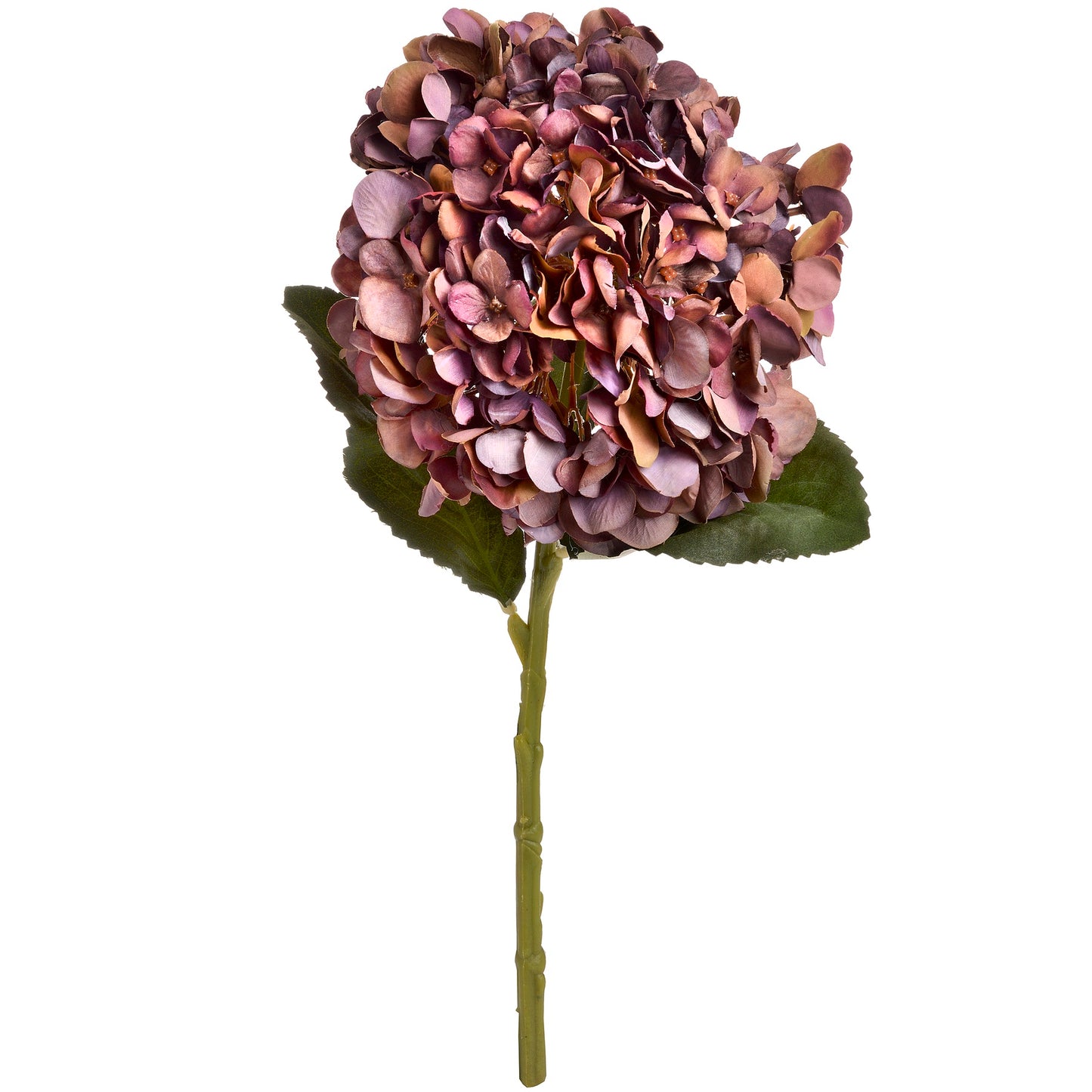 Autumn Coffee Hydrangea Stem
