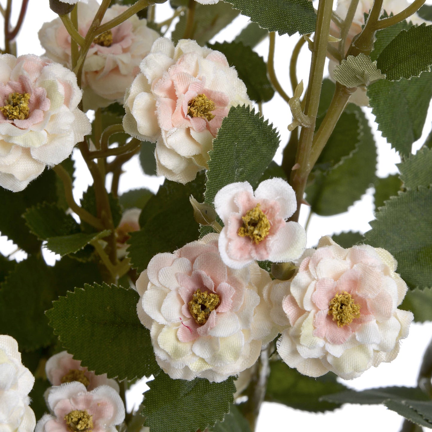 Cream Wild Meadow Rose Spray