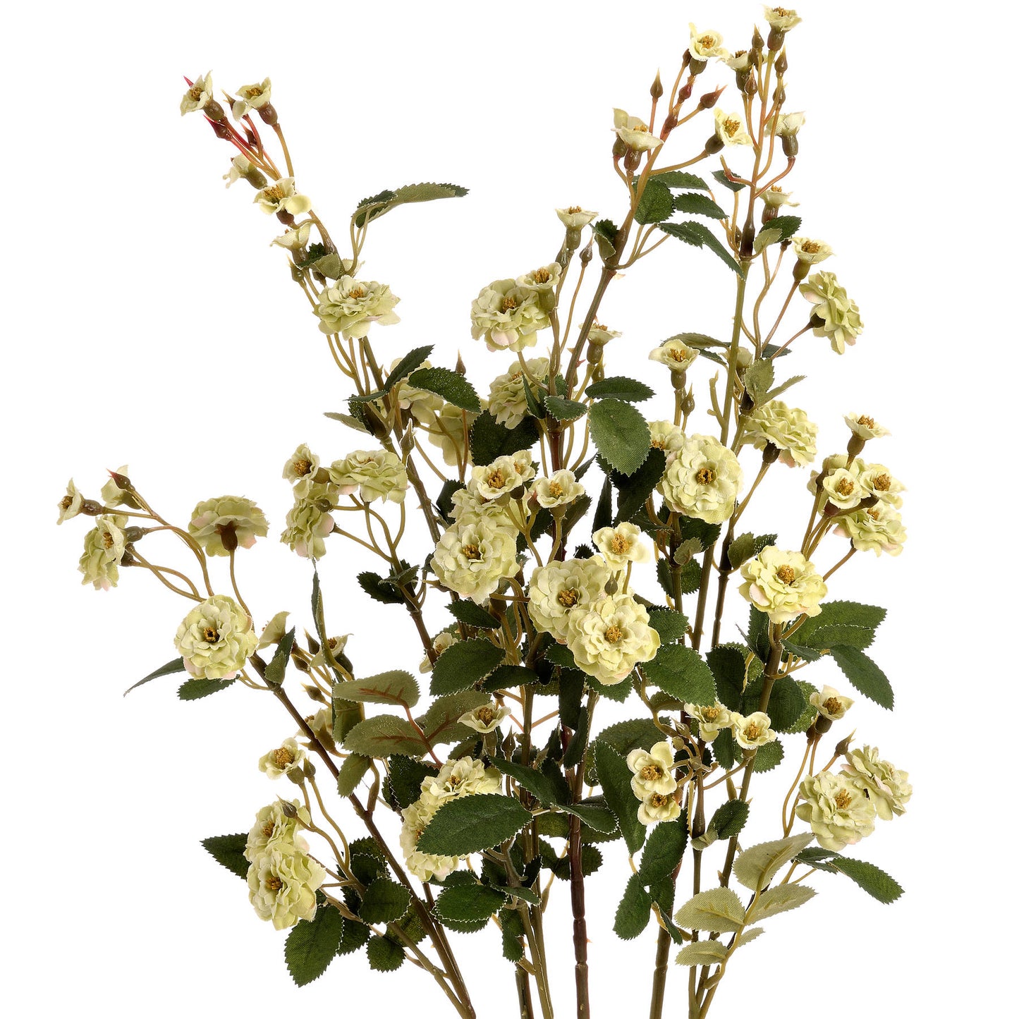 Green Wild Meadow Rose Spray