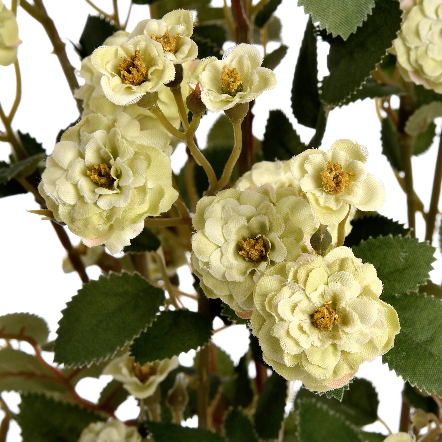Green Wild Meadow Rose Spray