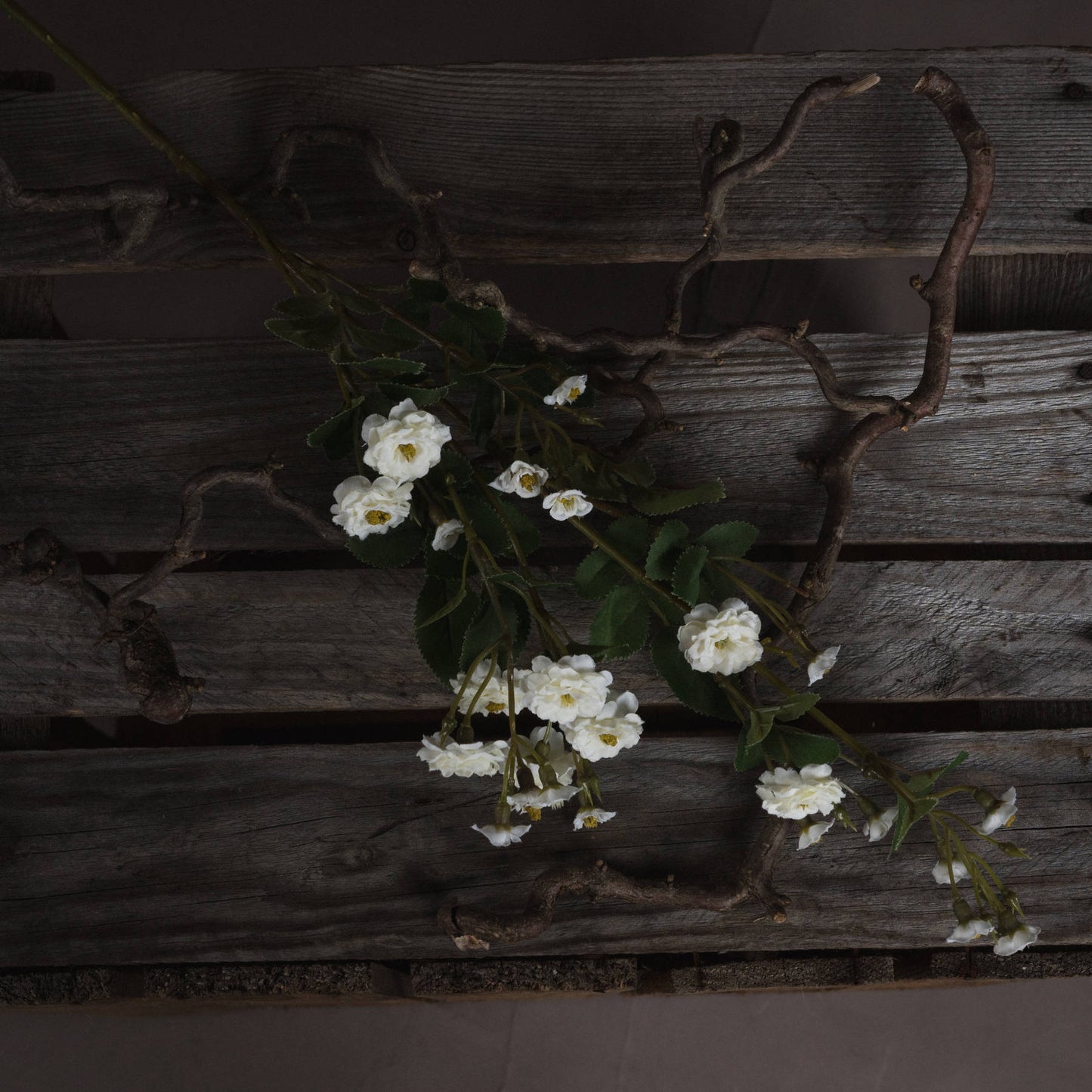 White Wild Meadow Rose Spray