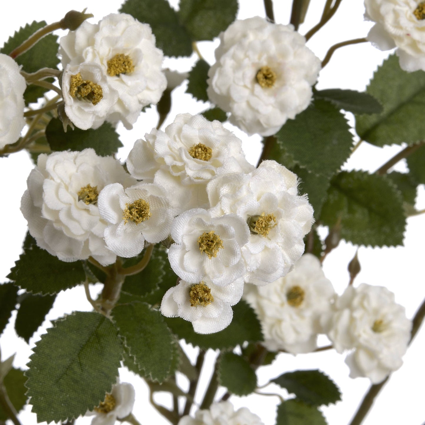 White Wild Meadow Rose Spray