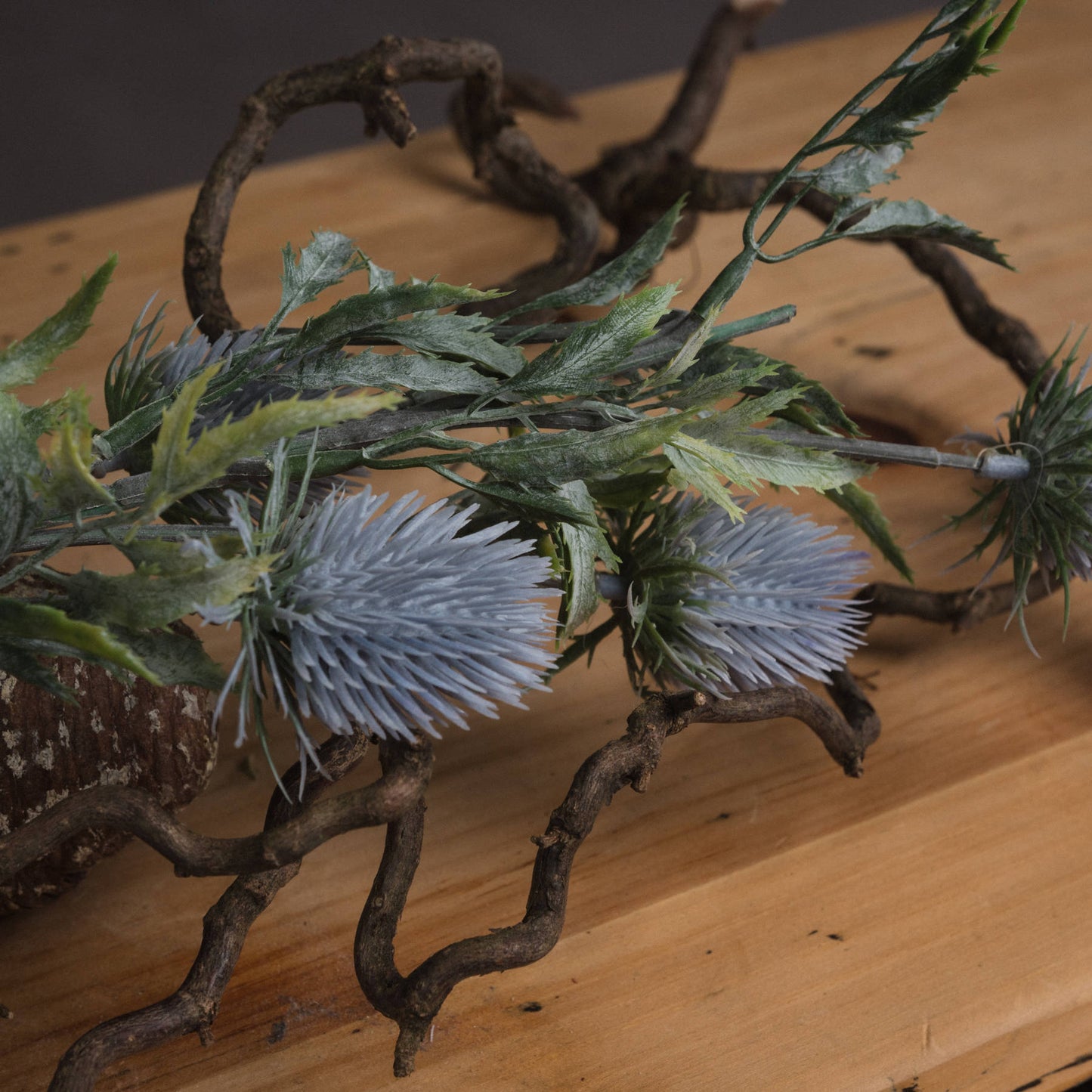 Eryngium Blue Thistle Stem