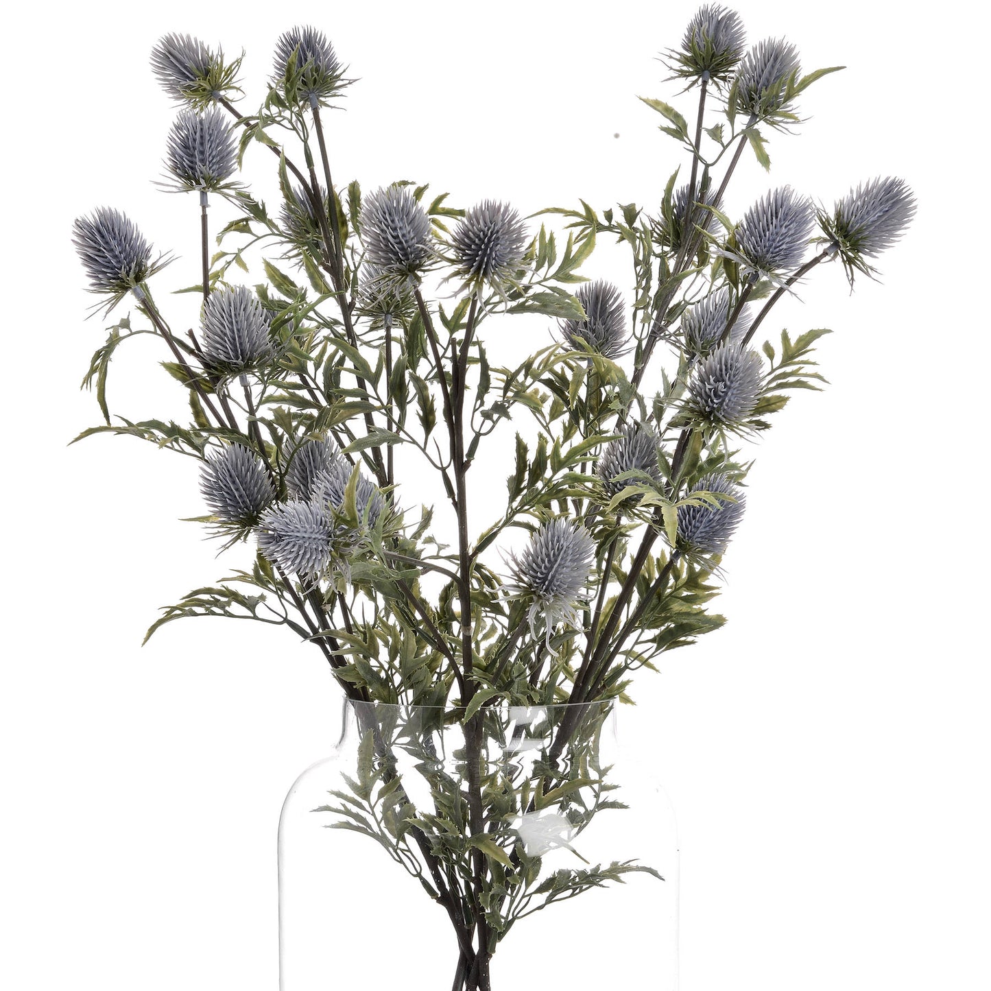 Eryngium Blue Thistle Stem