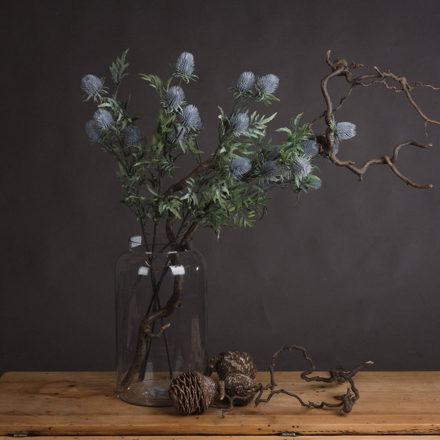 Eryngium Blue Thistle Stem