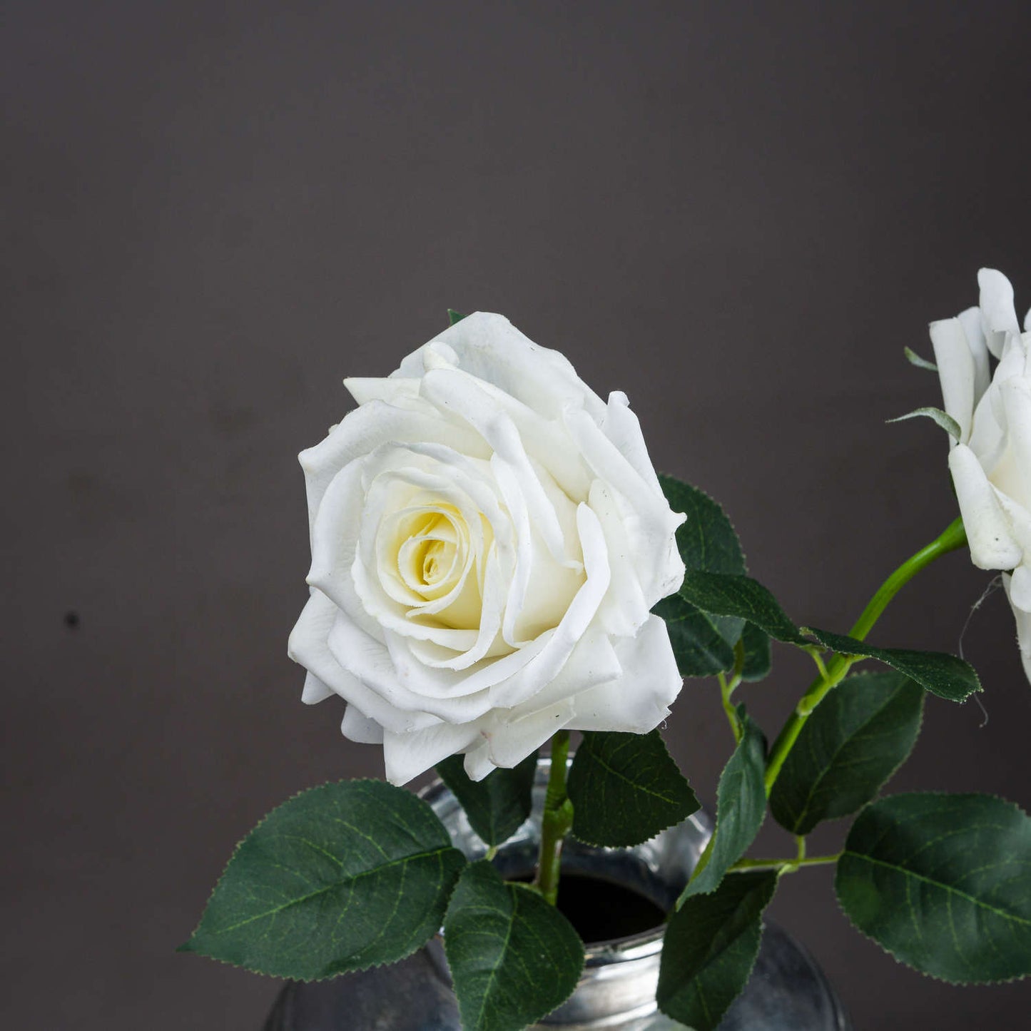 White Garden Rose - Large