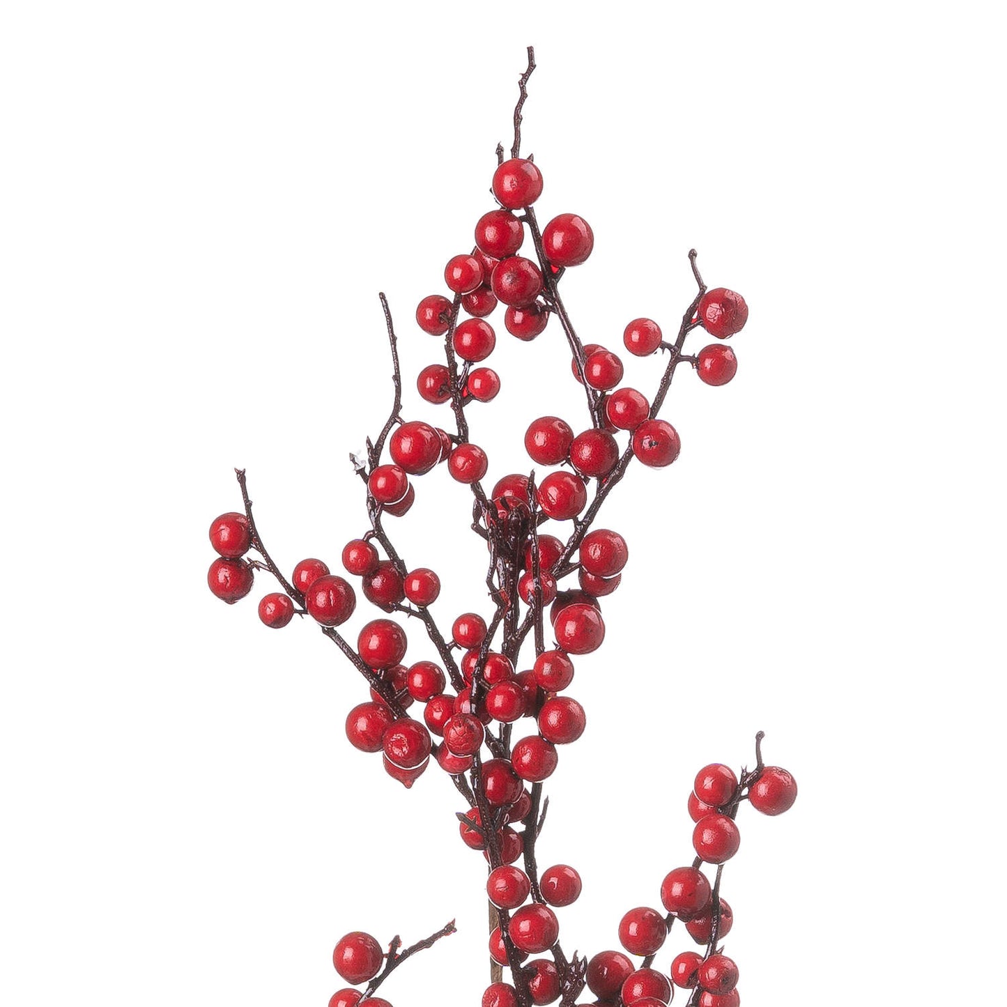Festive Berry Pick - Medium