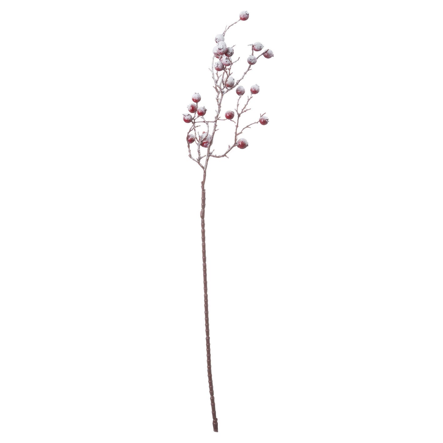 Red Festive Berry - Large