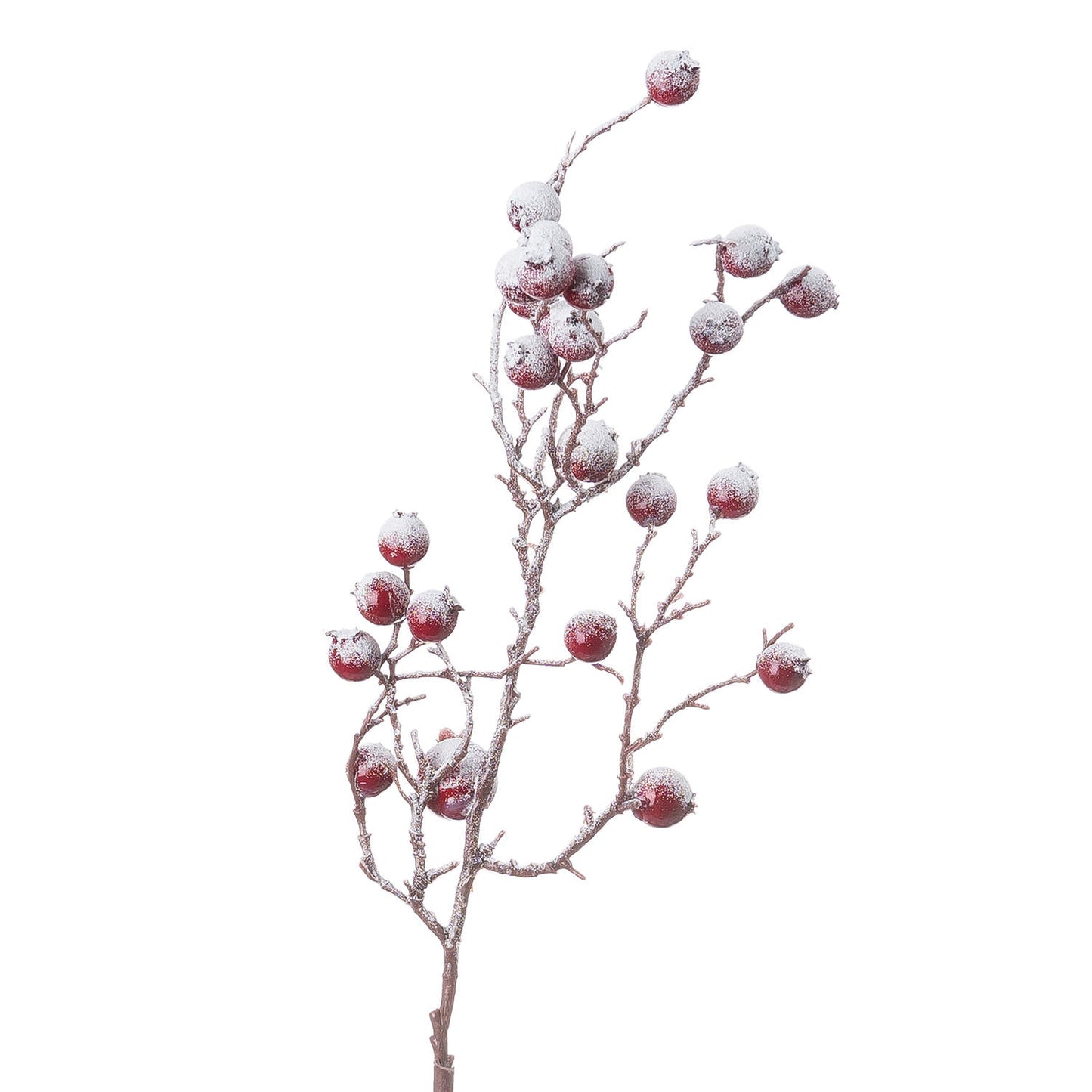 Red Festive Berry - Large