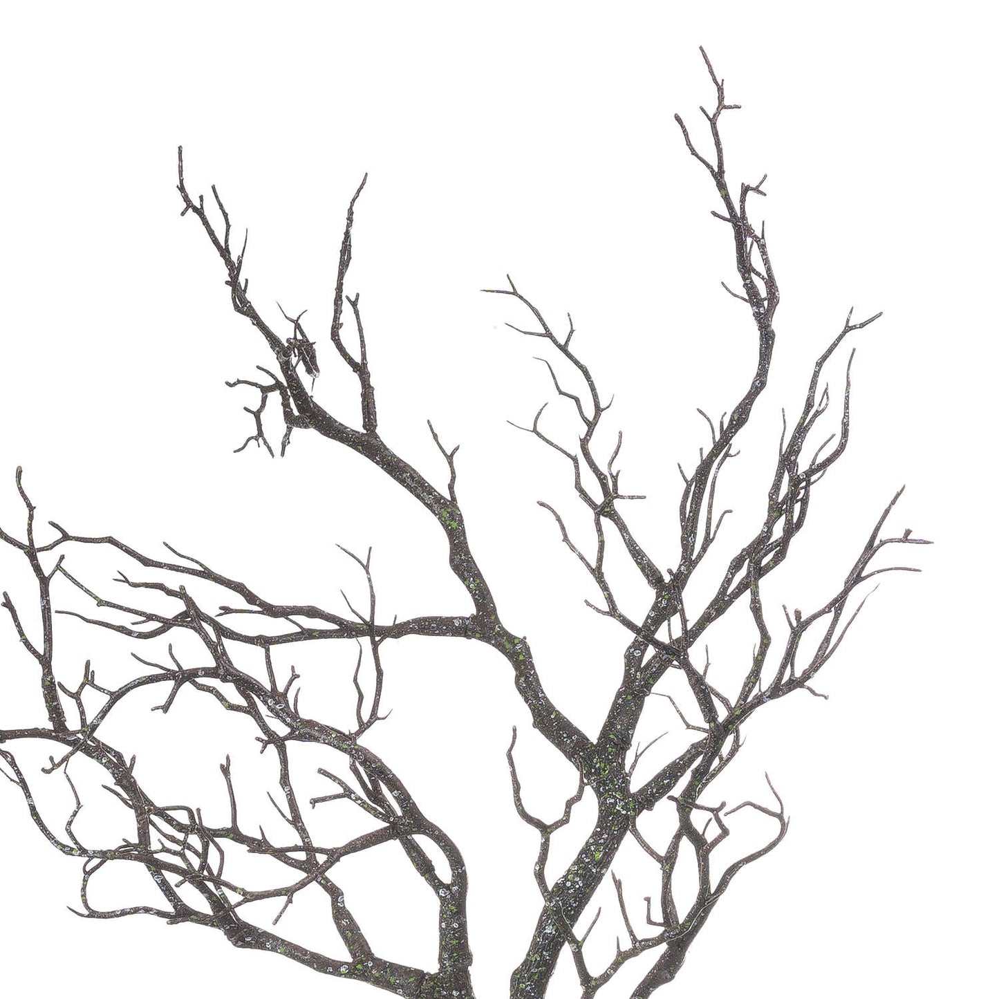 Branch Spray - Large