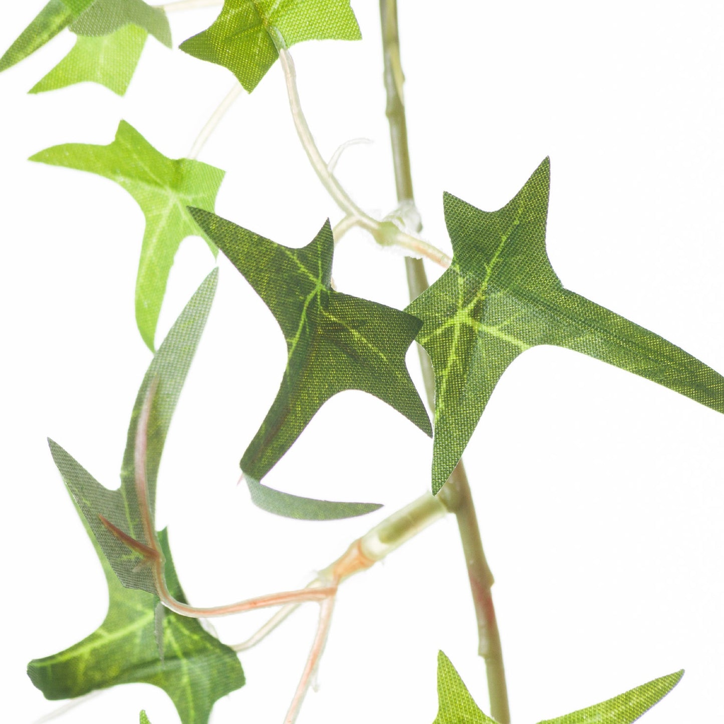 Ivy Garland - Small