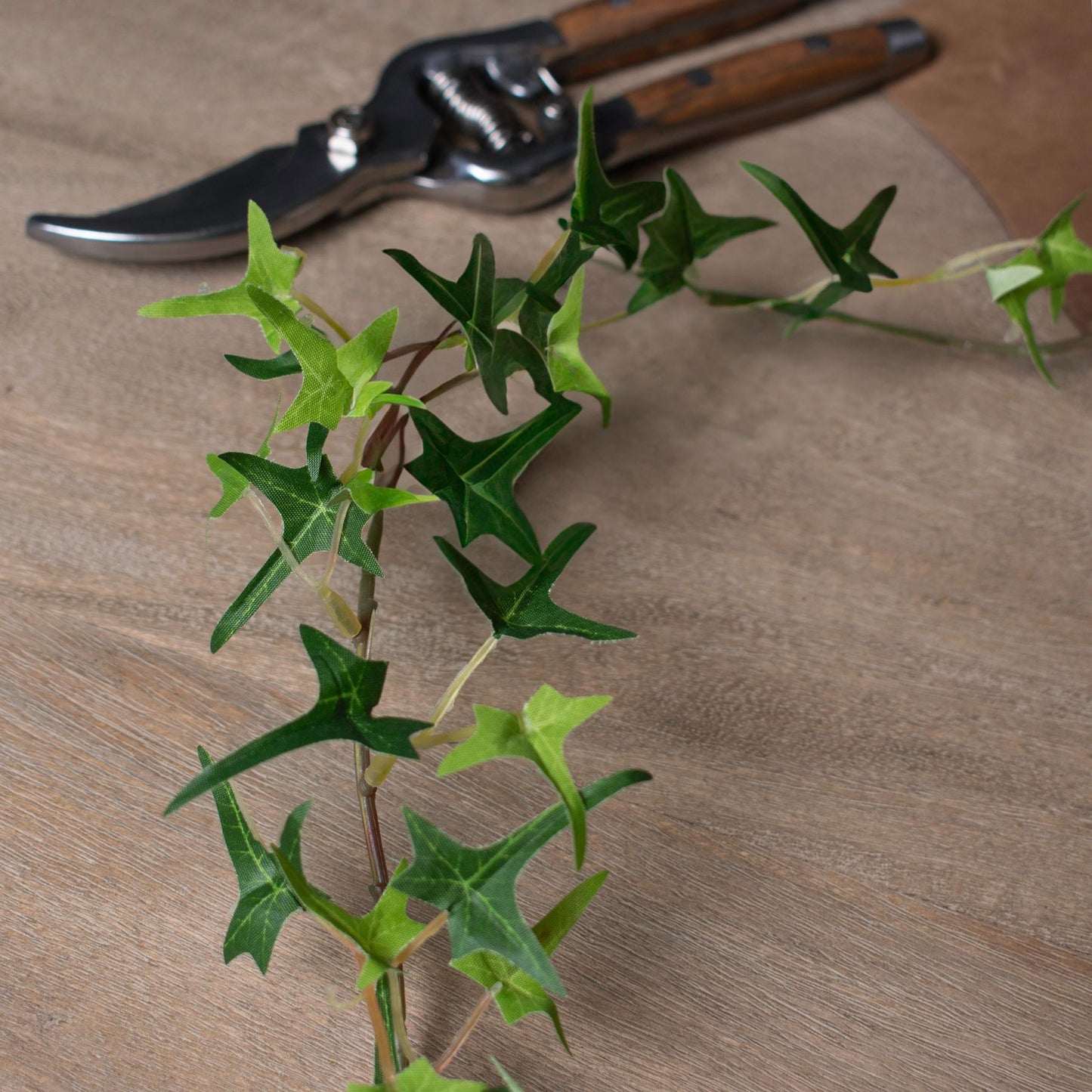 Ivy Garland - Small