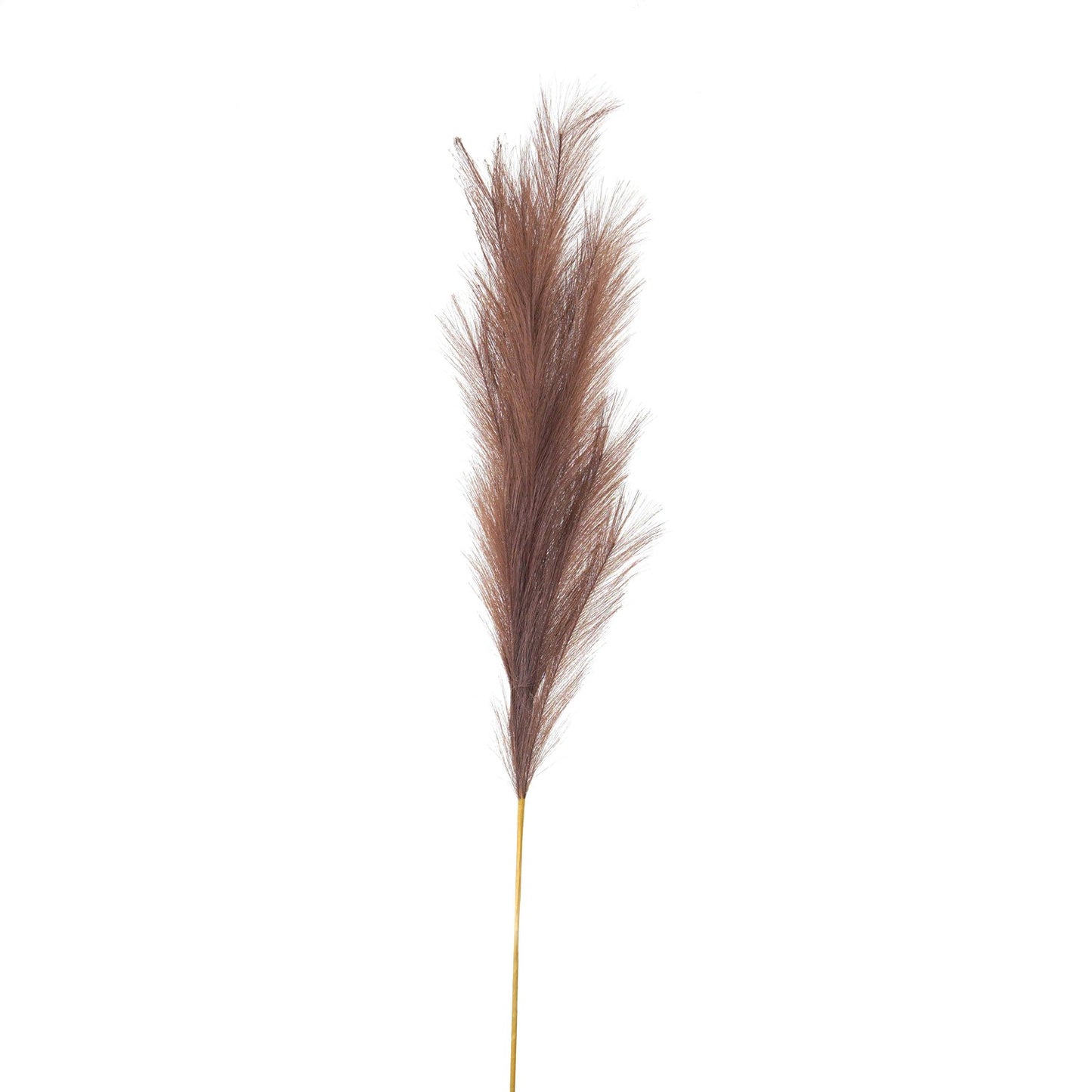Taupe Faux Pampas Grass Stem - Large