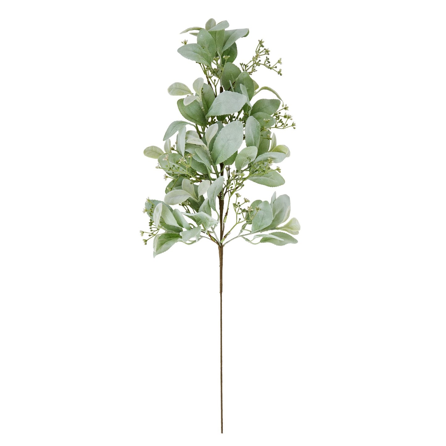 Winter Sprig With Lambs Ear And Wax Flower - Large