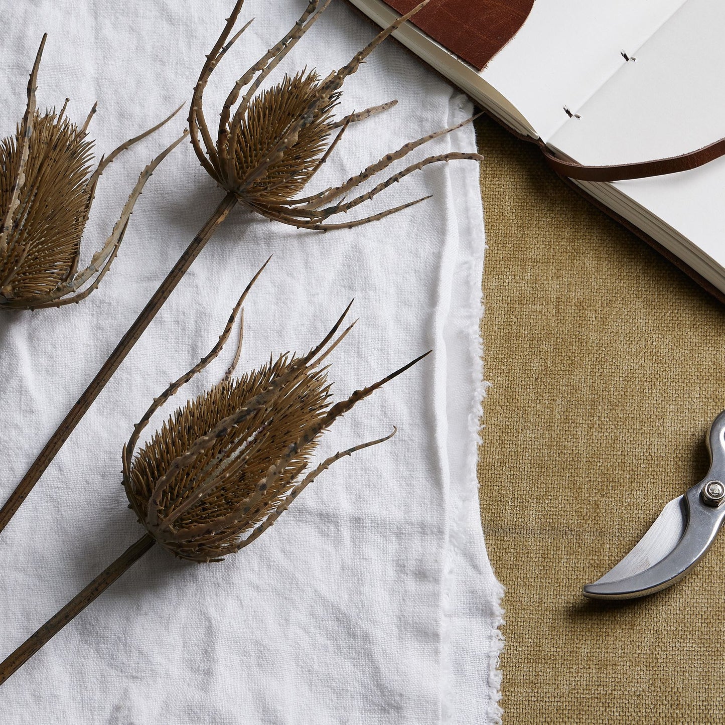 Brown Triple Teasle Stem - Large