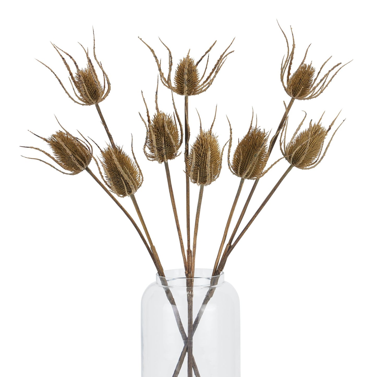 Brown Triple Teasle Stem - Large