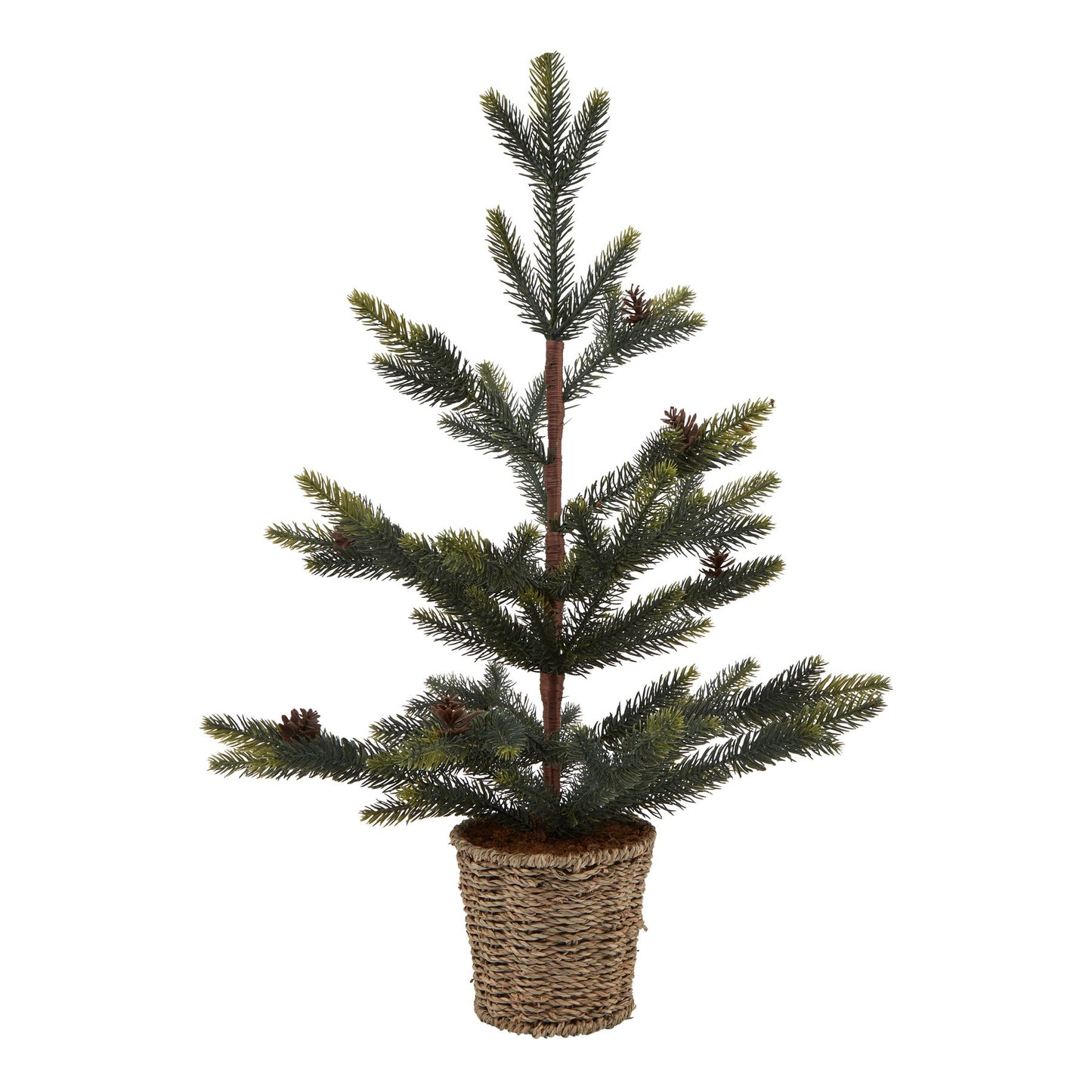 Spruce Tree With Wicker Basket - Medium