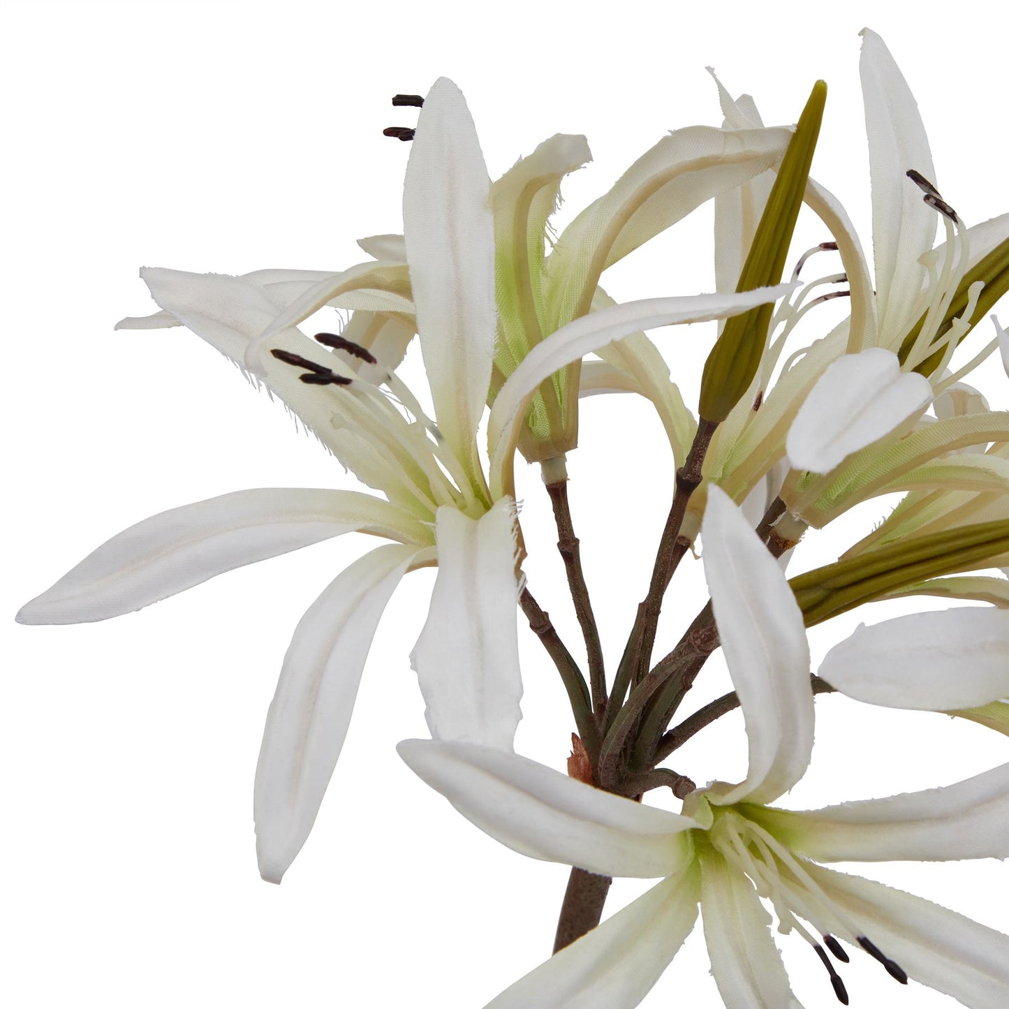The Natural Garden Collection White Lily Stem