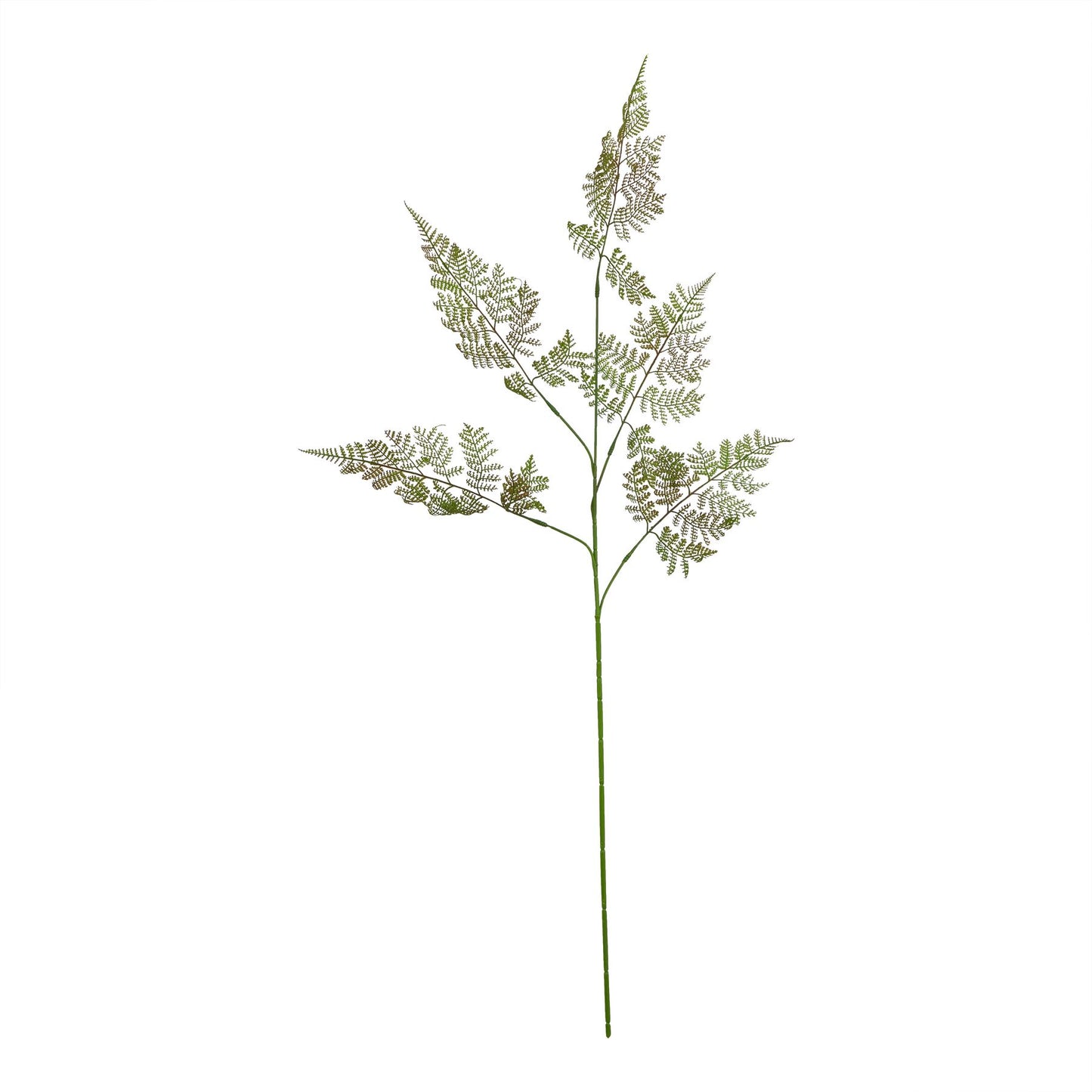 The Natural Garden Collection Bracken Fern Spray - Large