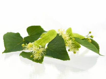 Argan Oil Solid Shampoo Loaf - Tea Tree & Peppermint