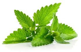Argan Oil Solid Shampoo Loaf - Tea Tree & Peppermint
