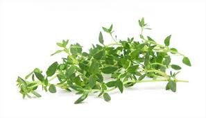 Argan Oil Solid Shampoo Loaf - Thyme & Mint