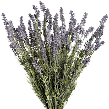 Lavender Bush - Large