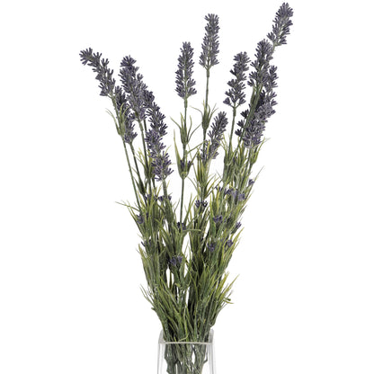Lavender Bush - Large