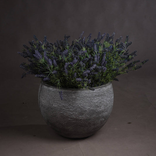 Lavender Bush - Large