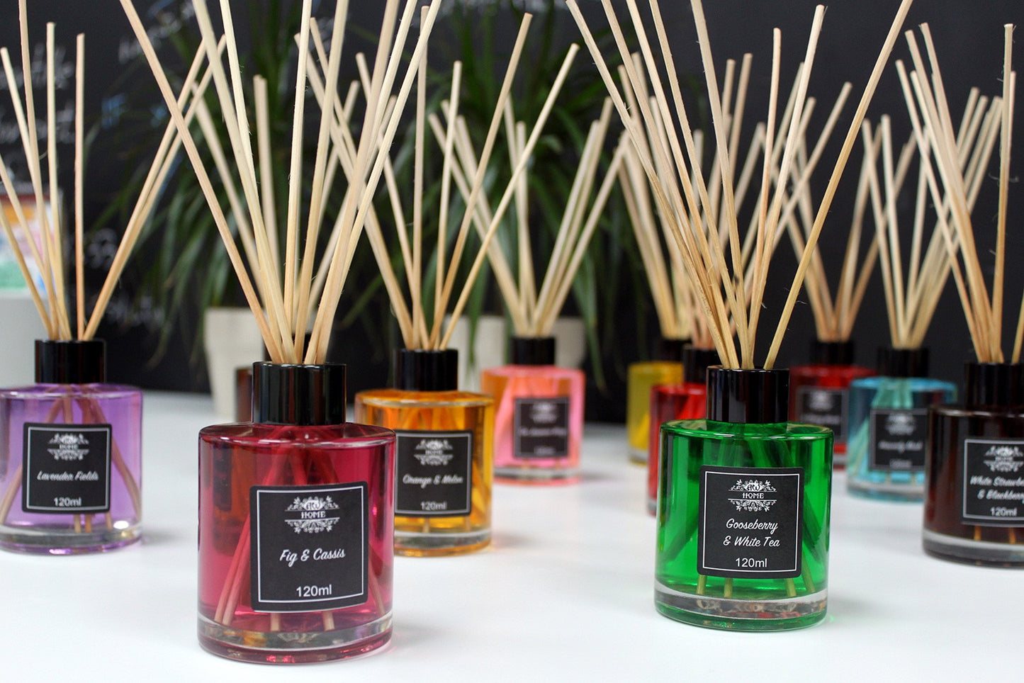 Reed Diffuser - Gold, Frankincense & Myrrh - 120 ml