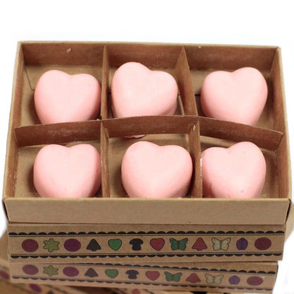 Box of 6  Wax Melts - Dragon's Blood