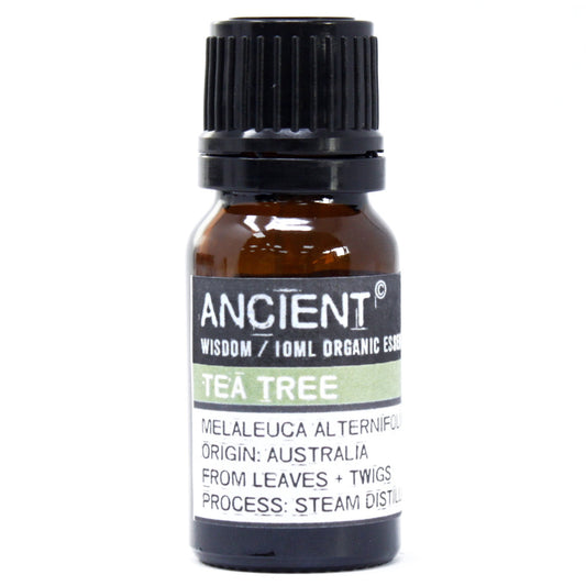 Organic Essential Oil - Tea Tree - 10 ml