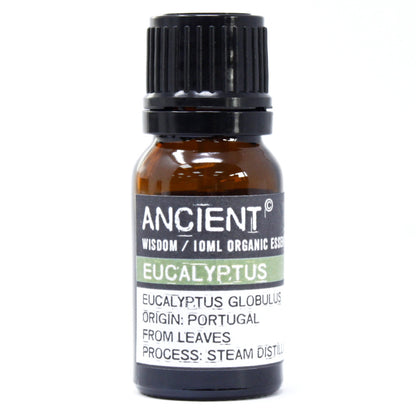 Organic Essential Oil - Eucalyptus - 10 ml