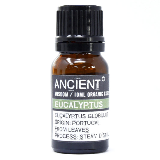 Organic Essential Oil - Eucalyptus - 10 ml