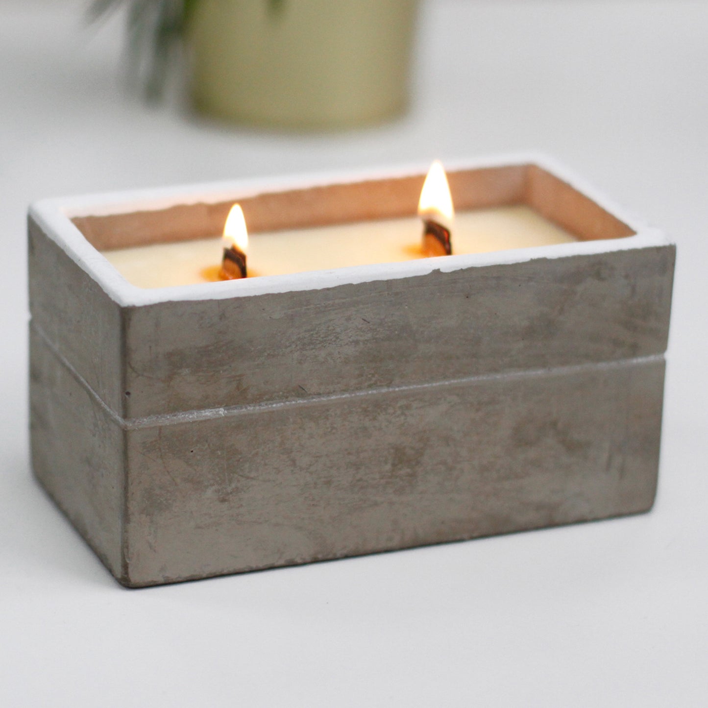 Wooden Wick Concrete Pot Scented Candle - Spiced South Sea Lime - Large