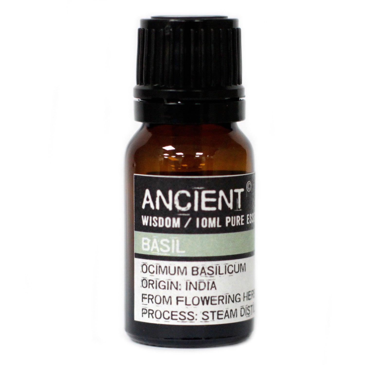 Basil Essential Oil - 10 ml