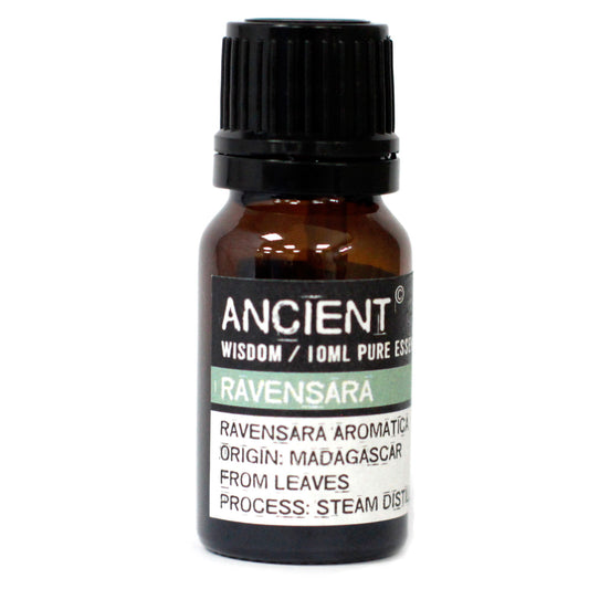 Ravensara Essential Oil - 10 ml