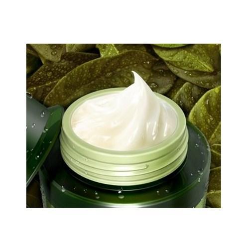 TONYMOLY The Chok Chok Green Tea Watery Moisture Cream - 100ml