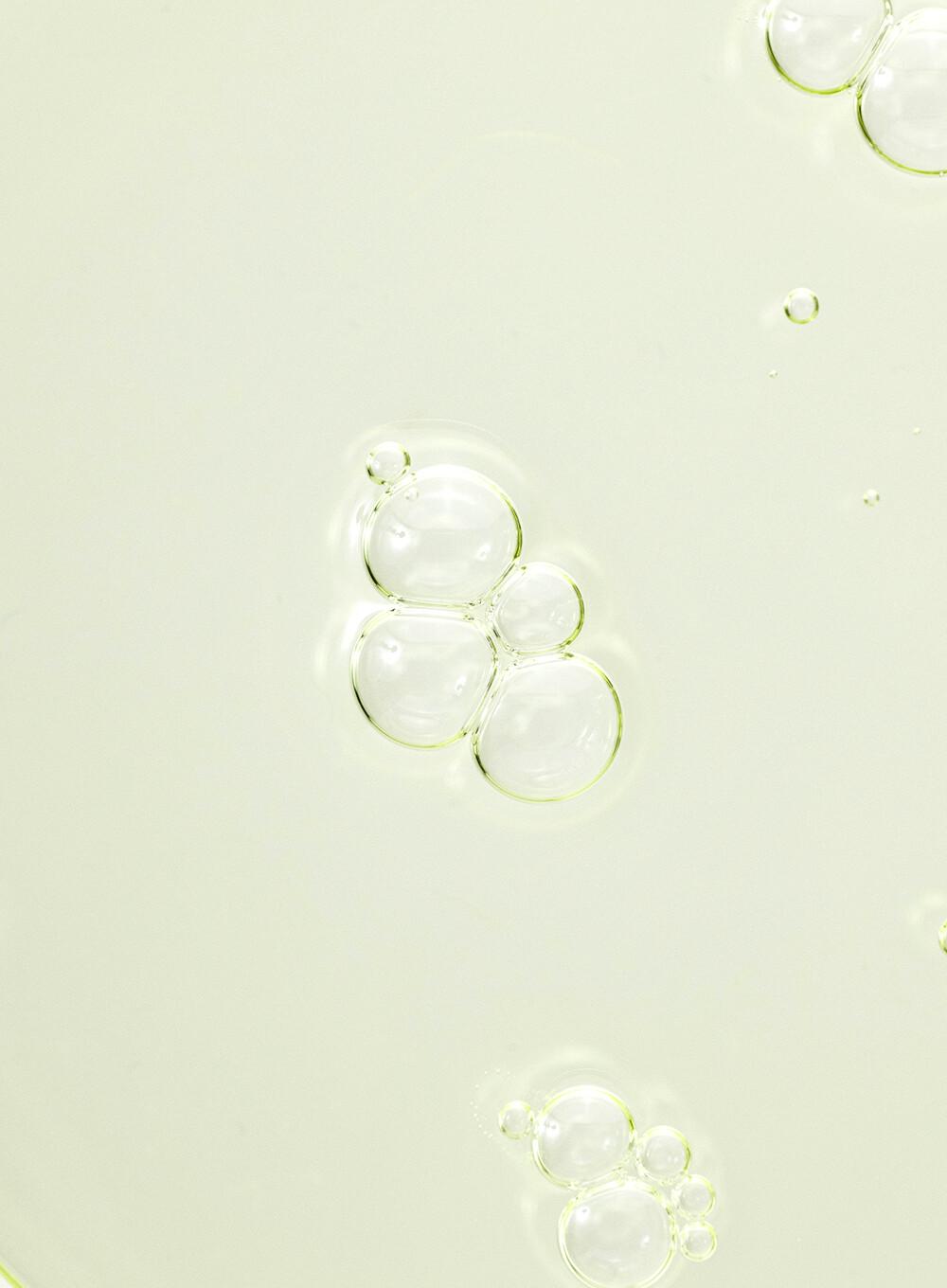 Beauty of Joseon Calming Serum : Green Tea + Panthenol - 30ml